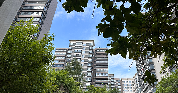 .cn域名注册查询