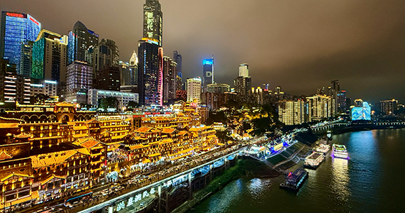 cn域名到期查询