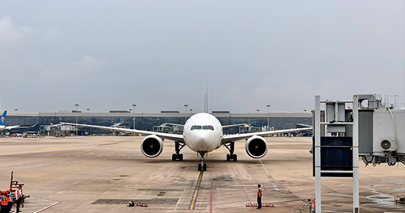 专业CN域名信息查询