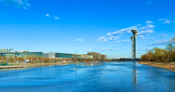 cn个人域名注册查询网址