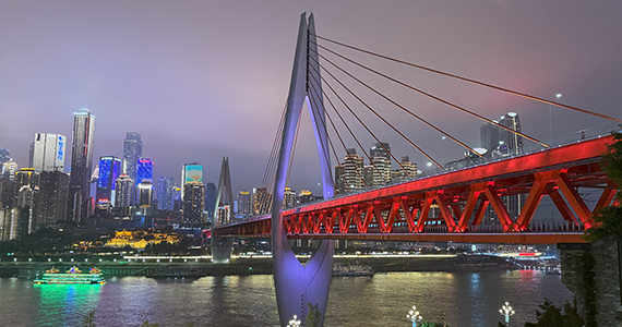 上海外国公司注册cn域名查询网站